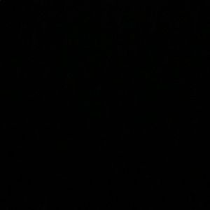 Meet your Posher, Paige